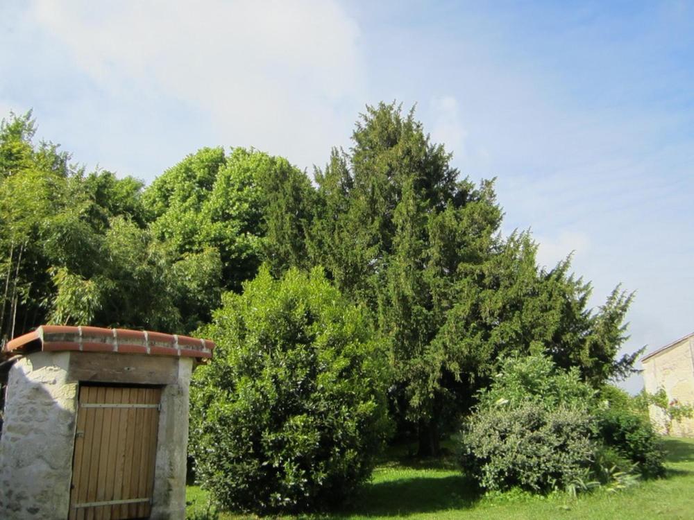 Les Cagouilles Bed & Breakfast Virson Екстериор снимка